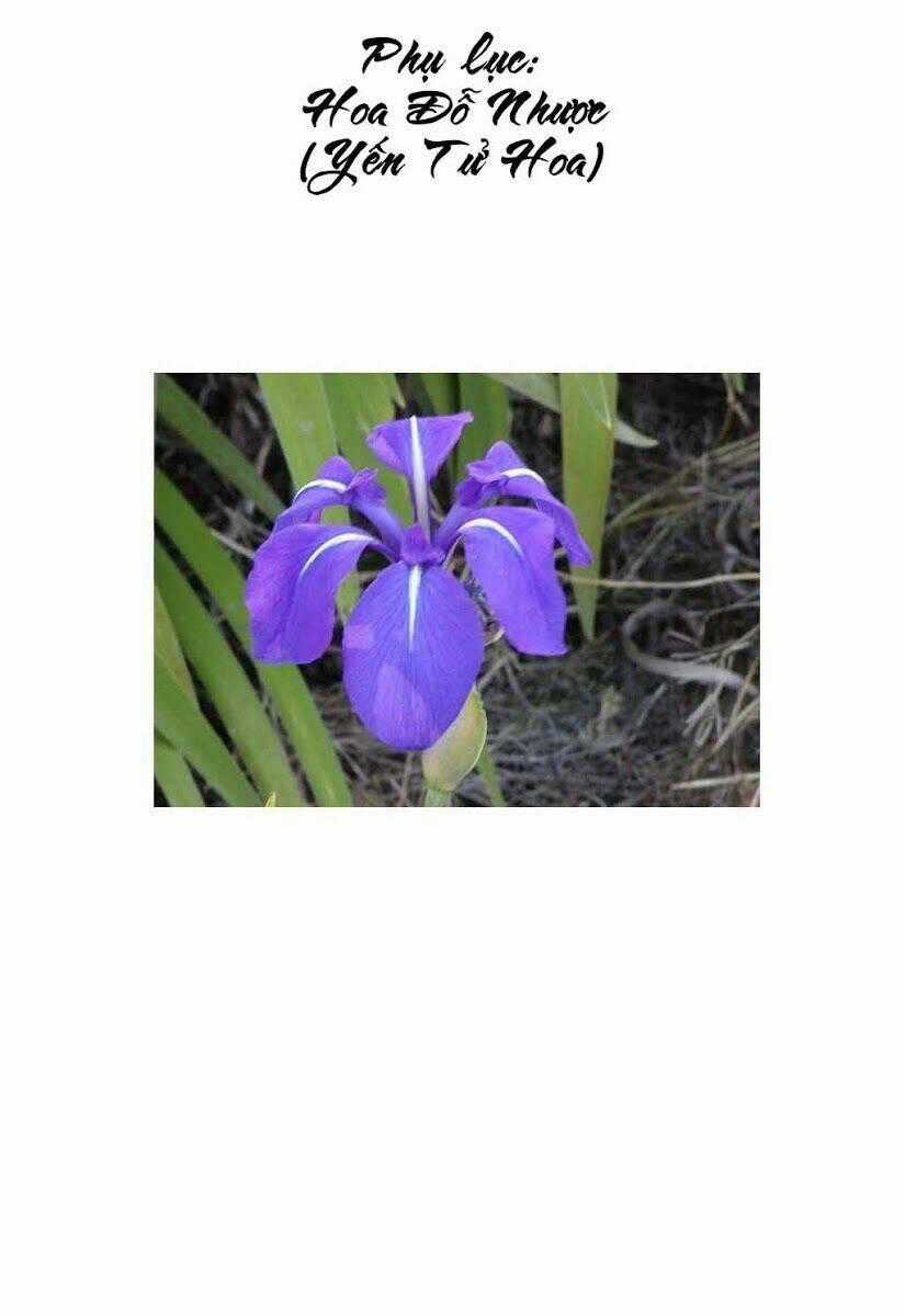 Hanzou No Mon - Chapter 16 - Trang 47