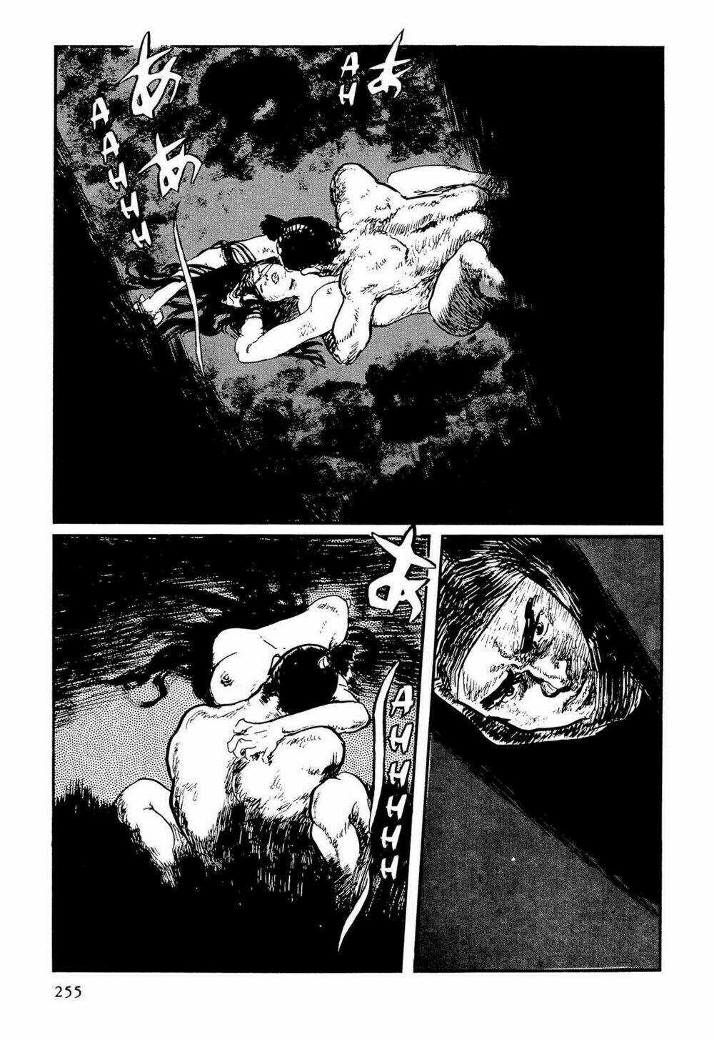 Hanzou No Mon - Chapter 62.4 - Trang 11