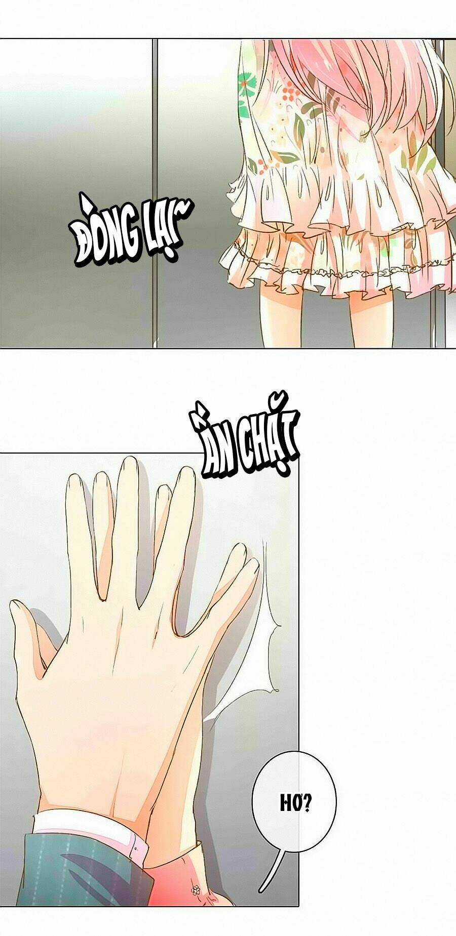 Hào Môn Tiểu Lãn Thê - Chapter 49 - Trang 11