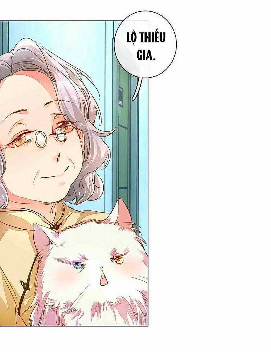 Hào Môn Tiểu Lãn Thê - Chapter 77 - Trang 4