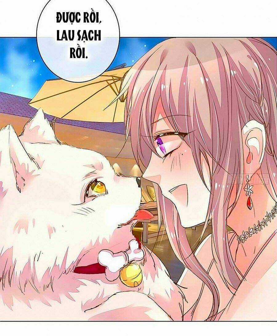 Hào Môn Tiểu Lãn Thê - Chapter 97 - Trang 14