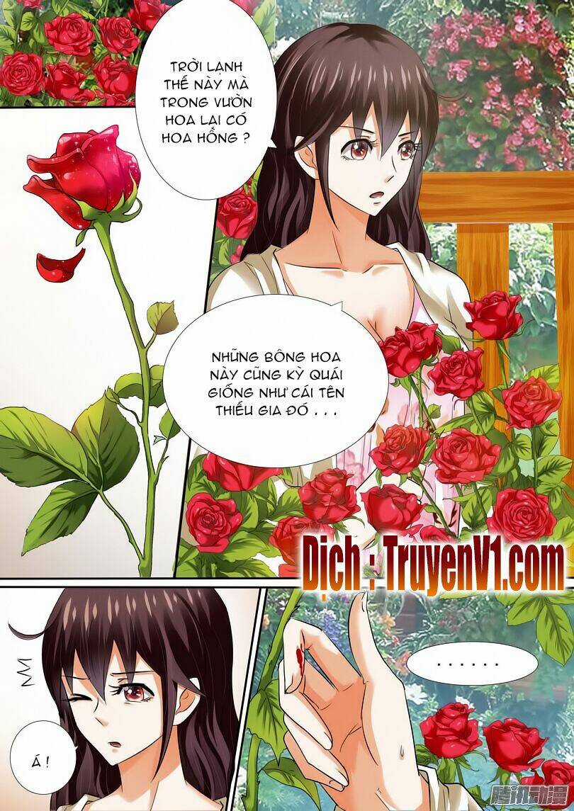 Hào Môn Tiểu Lão Bà - Chapter 11 - Trang 3