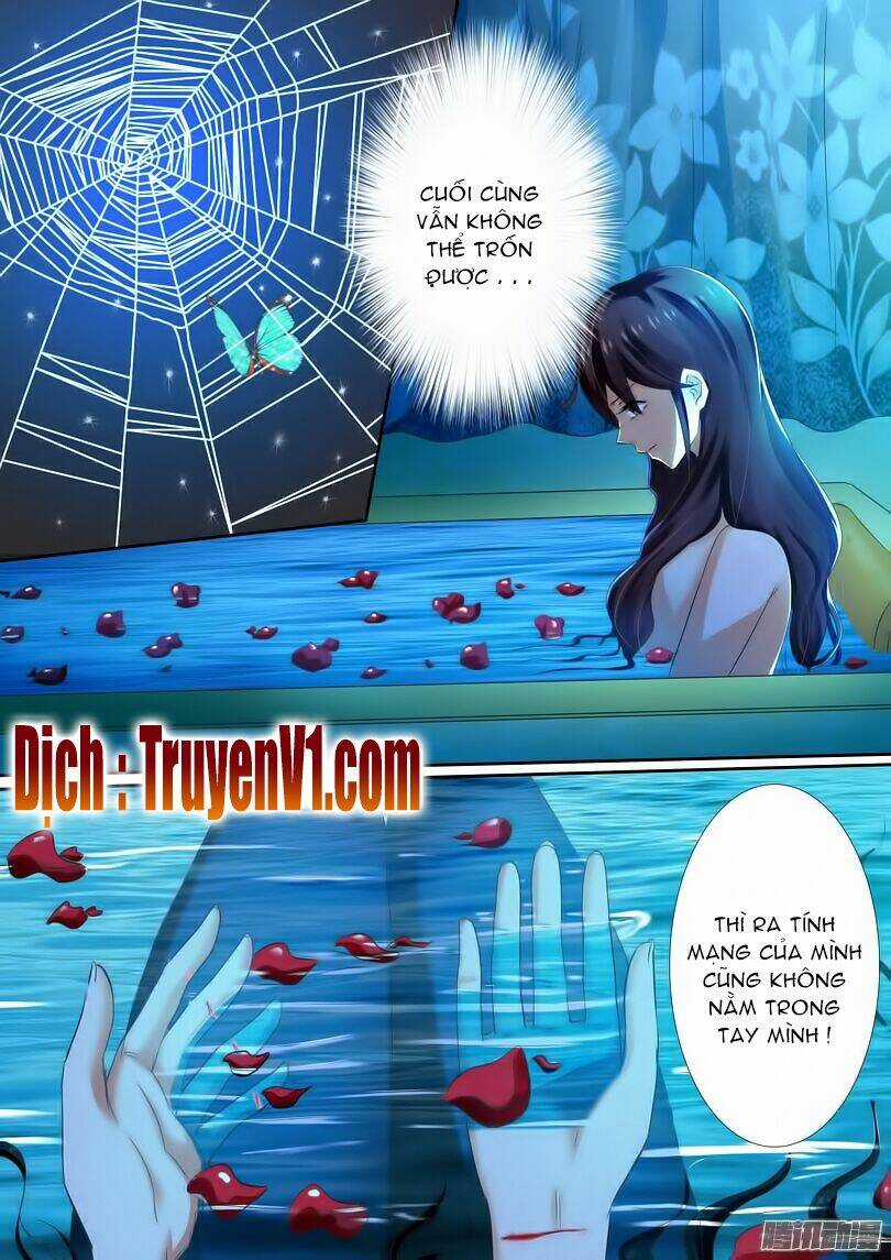 Hào Môn Tiểu Lão Bà - Chapter 12 - Trang 6