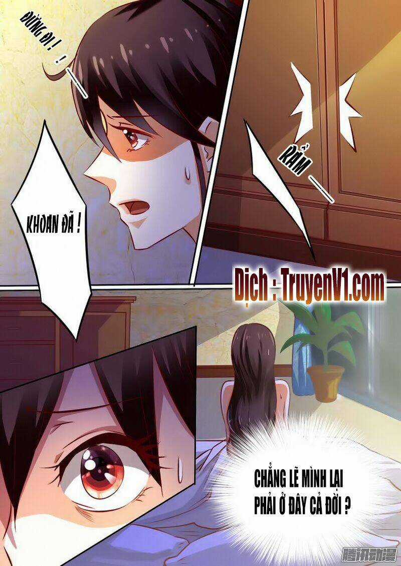 Hào Môn Tiểu Lão Bà - Chapter 17 - Trang 5