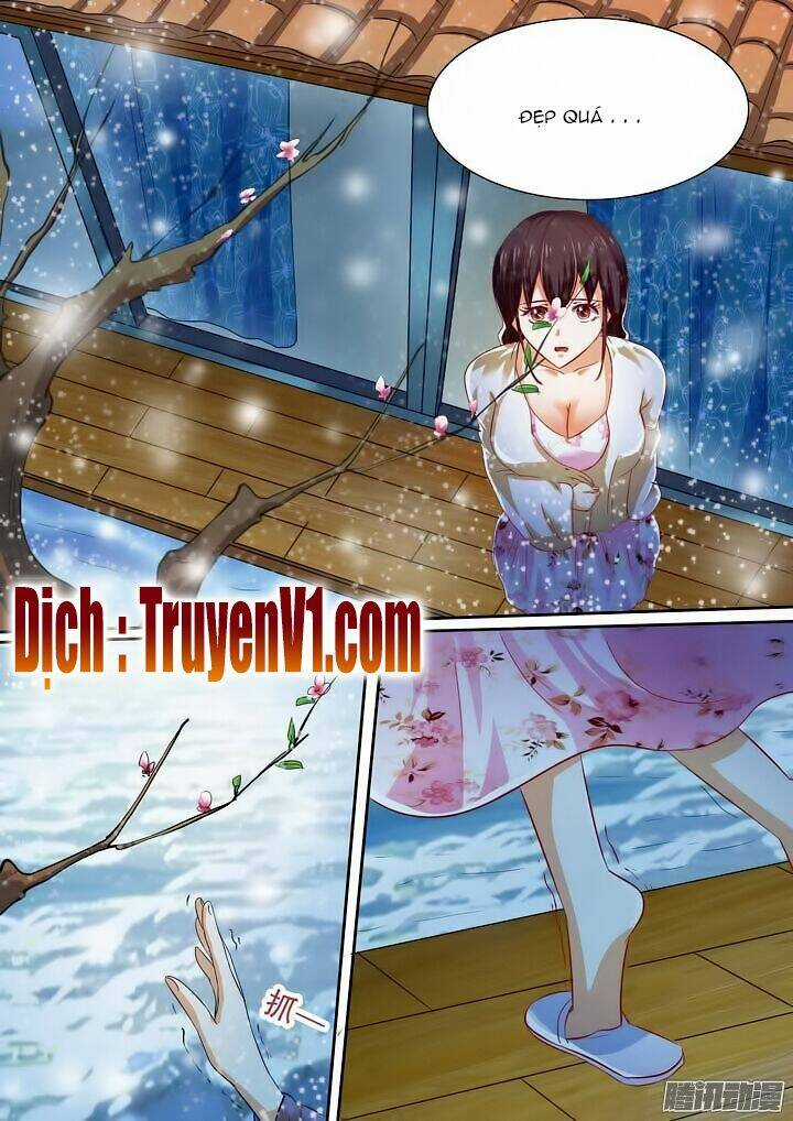 Hào Môn Tiểu Lão Bà - Chapter 18 - Trang 9
