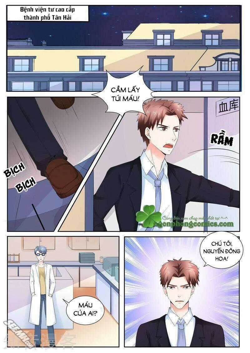 Hào Môn Tiểu Lão Bà - Chapter 190 - Trang 2