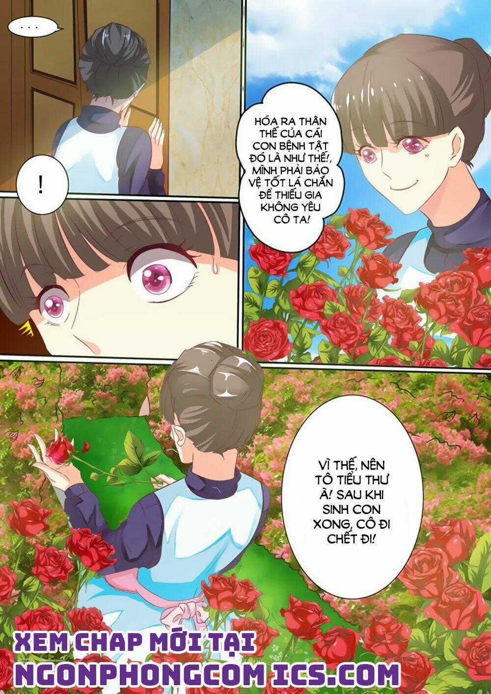 Hào Môn Tiểu Lão Bà - Chapter 28 - Trang 13