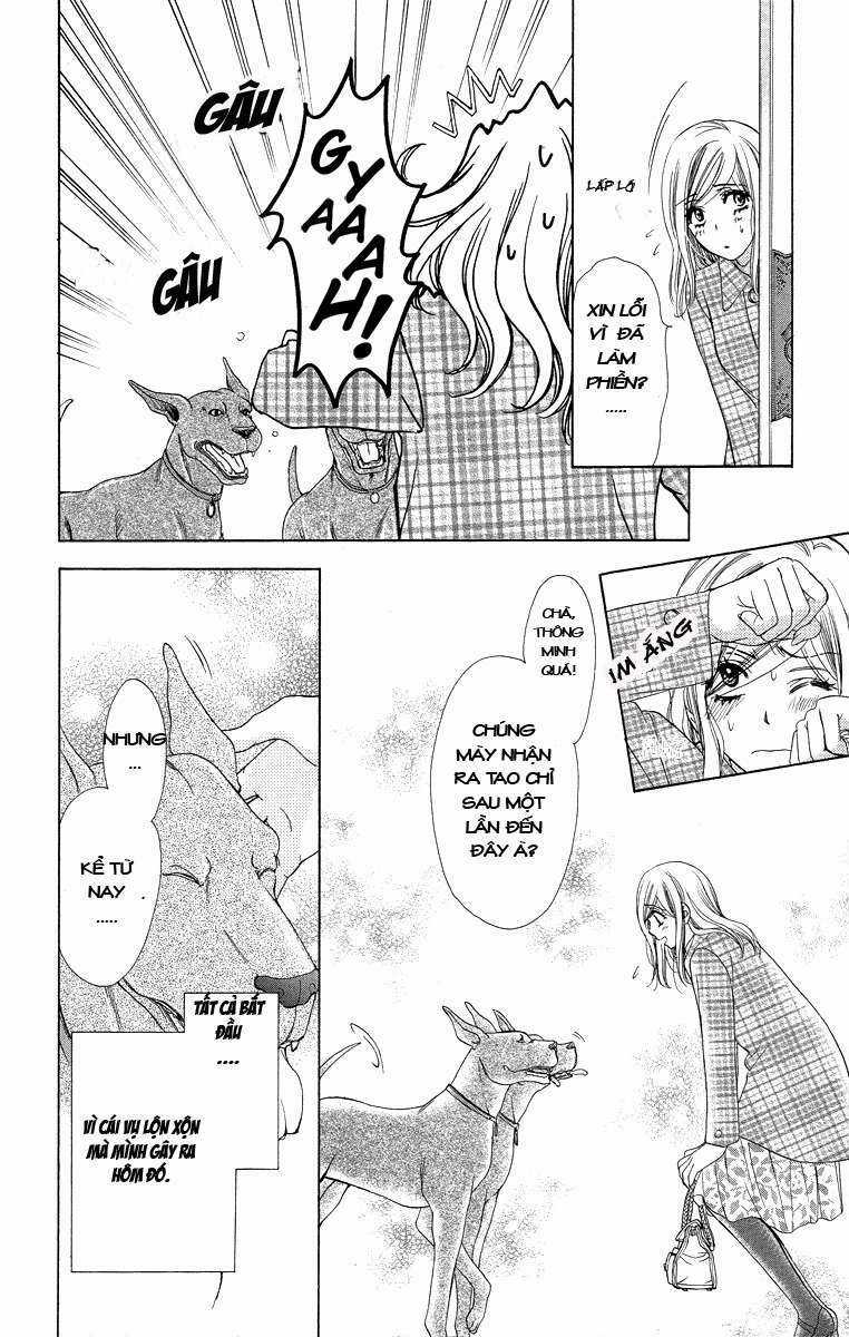 Hapi Mari - Chapter 15 - Trang 3