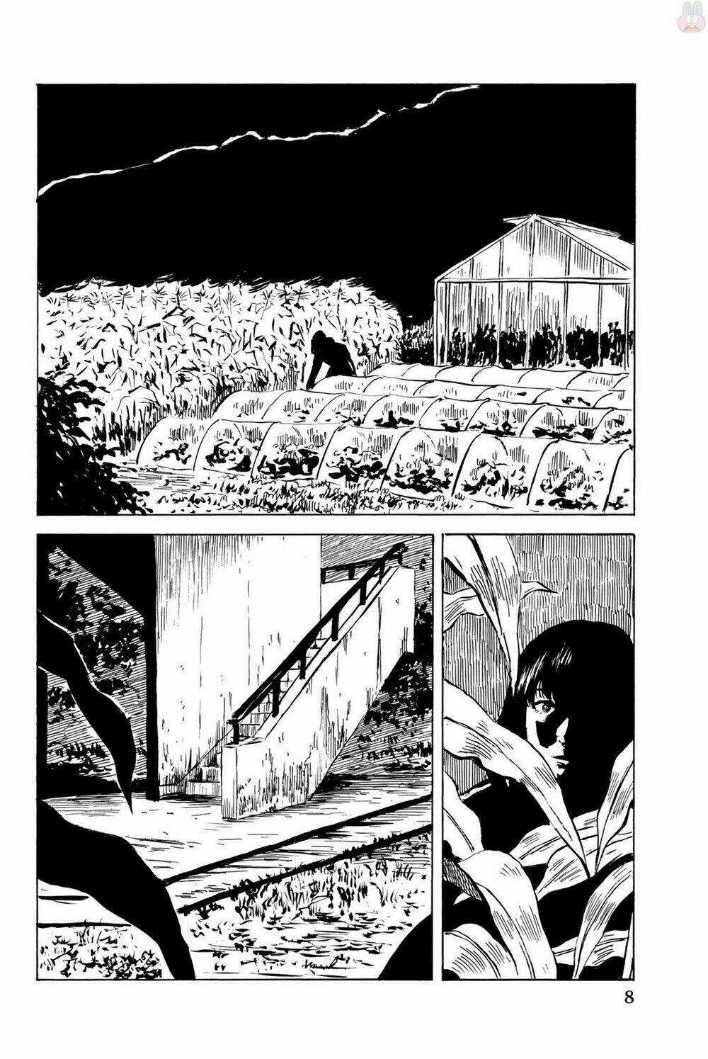 Happiness - Chapter 31 - Trang 10