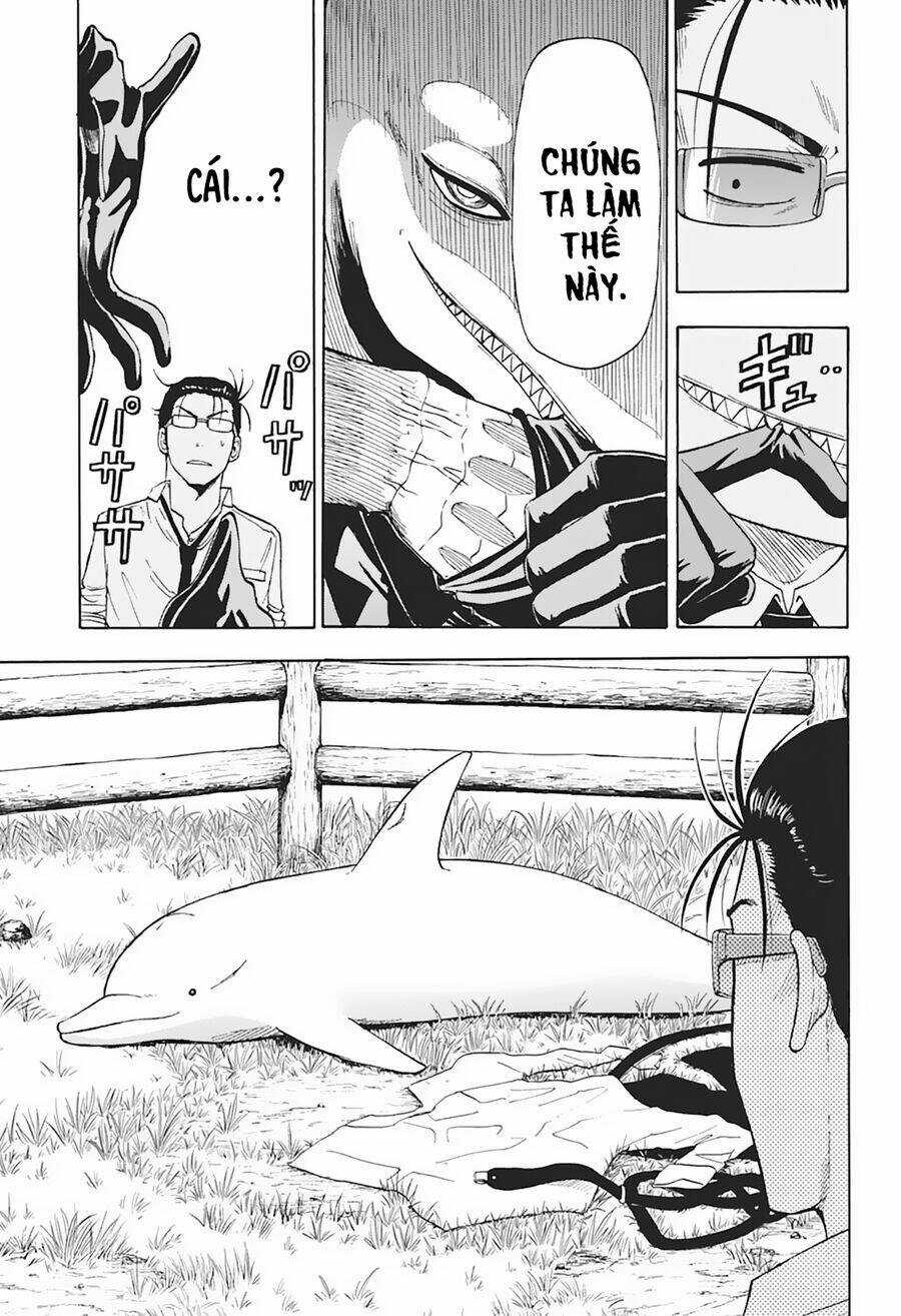 Hard-Boiled Cop And Dolphin - Chapter 5 - Trang 8