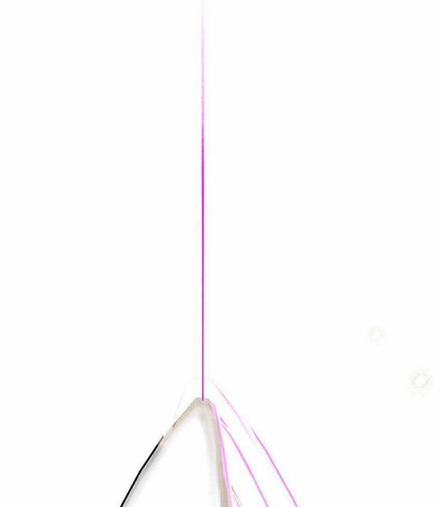 Hard Core Leveling Warrior Ss2 - Chapter 129 - Trang 106