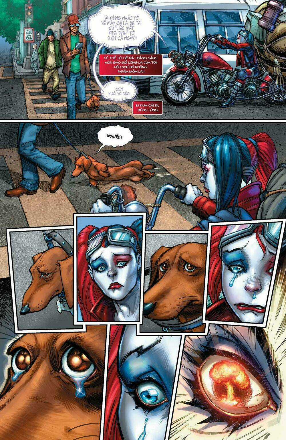 Harley Quinn - Chapter 1 - Trang 5