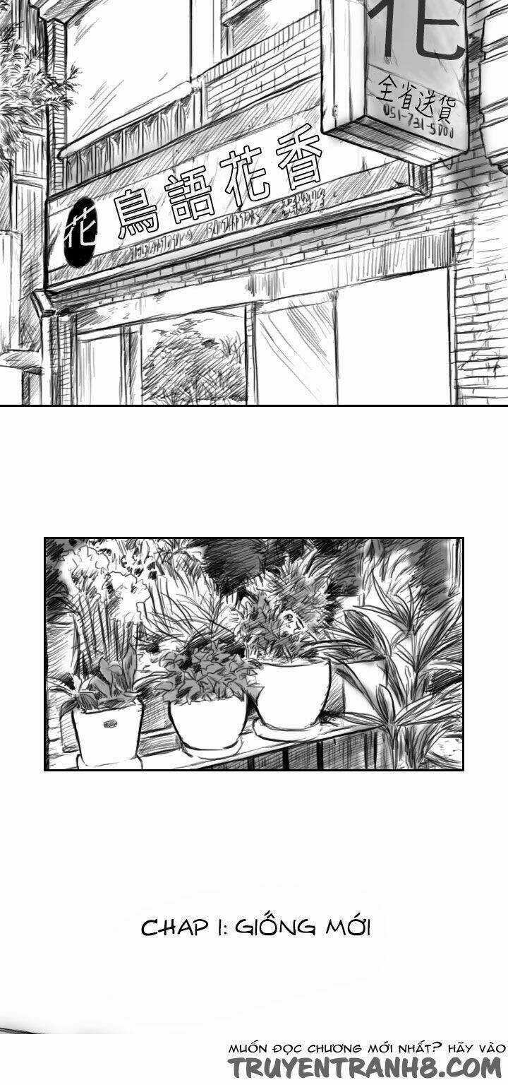 Hạt Giống Mỹ Nhân - Chapter 1 - Trang 3