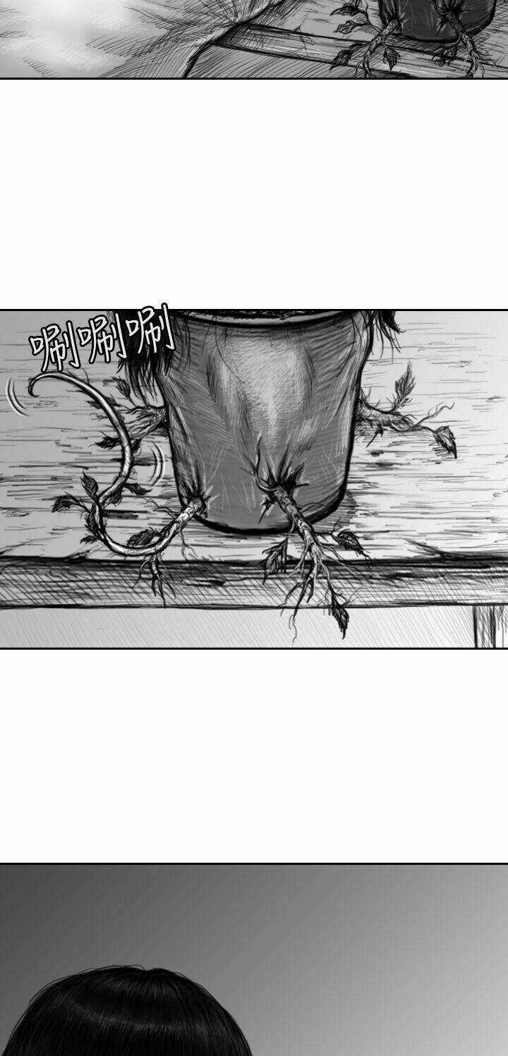 Hạt Giống Mỹ Nhân - Chapter 10 - Trang 33