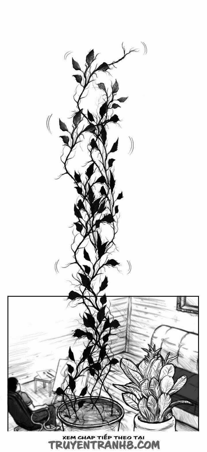 Hạt Giống Mỹ Nhân - Chapter 2 - Trang 1
