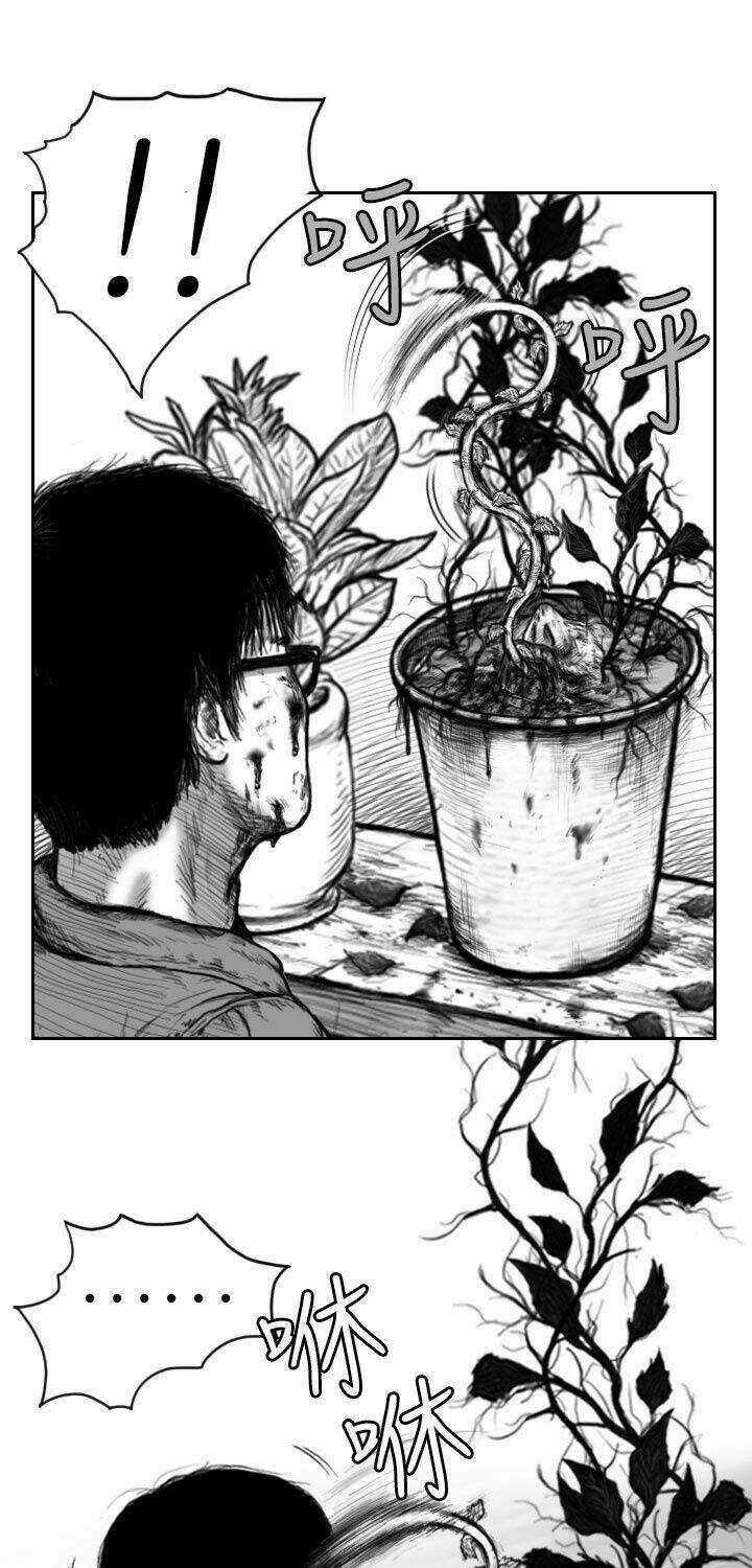 Hạt Giống Mỹ Nhân - Chapter 2 - Trang 13