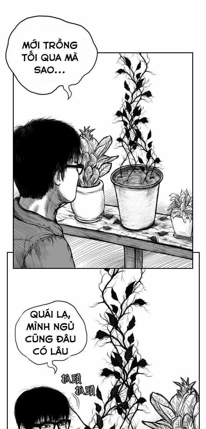 Hạt Giống Mỹ Nhân - Chapter 2 - Trang 7