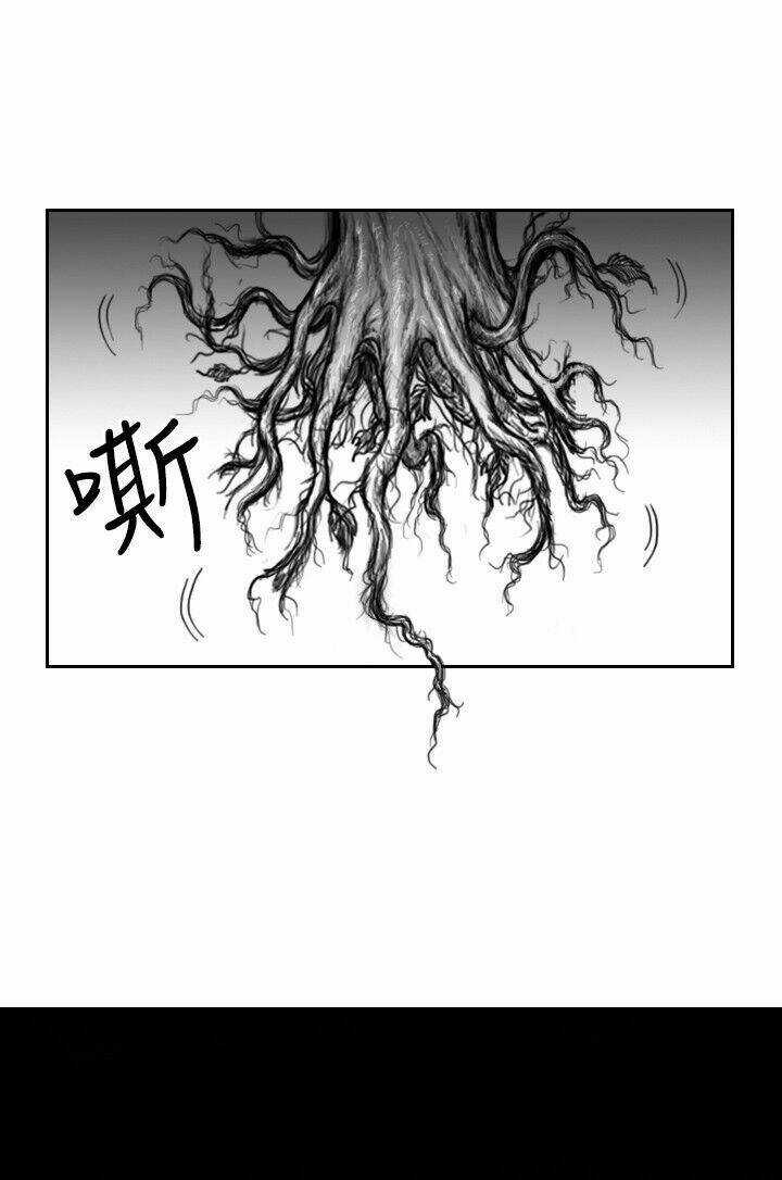 Hạt Giống Mỹ Nhân - Chapter 21 - Trang 12