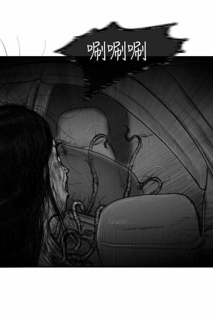 Hạt Giống Mỹ Nhân - Chapter 36 - Trang 12