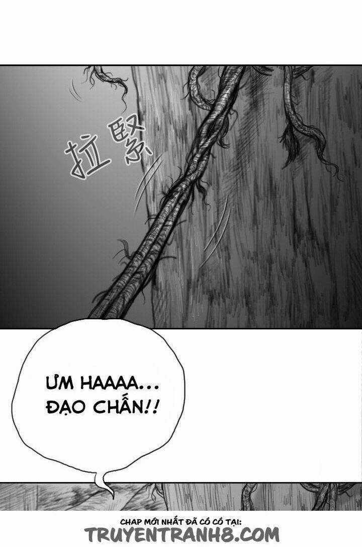 Hạt Giống Mỹ Nhân - Chapter 38 - Trang 12