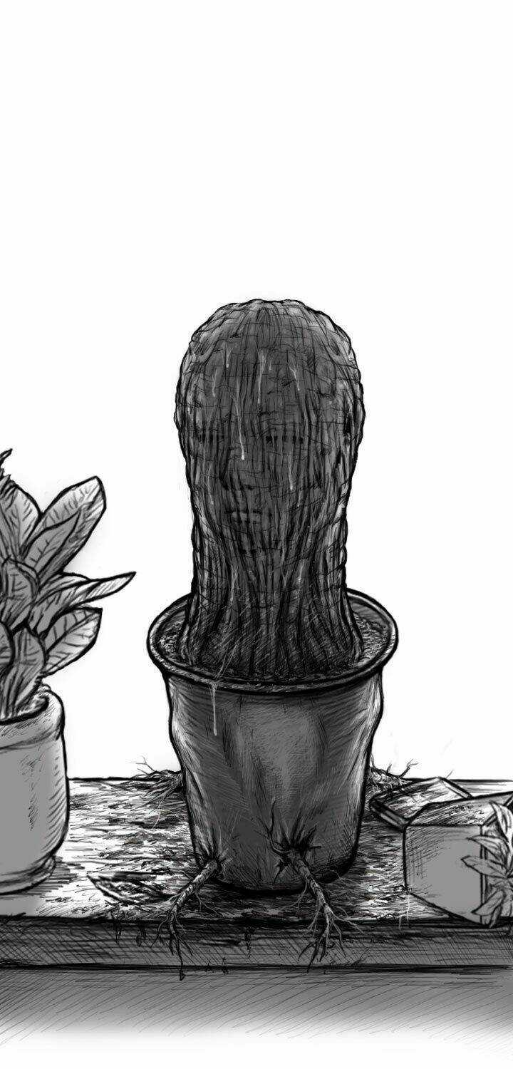 Hạt Giống Mỹ Nhân - Chapter 5 - Trang 22