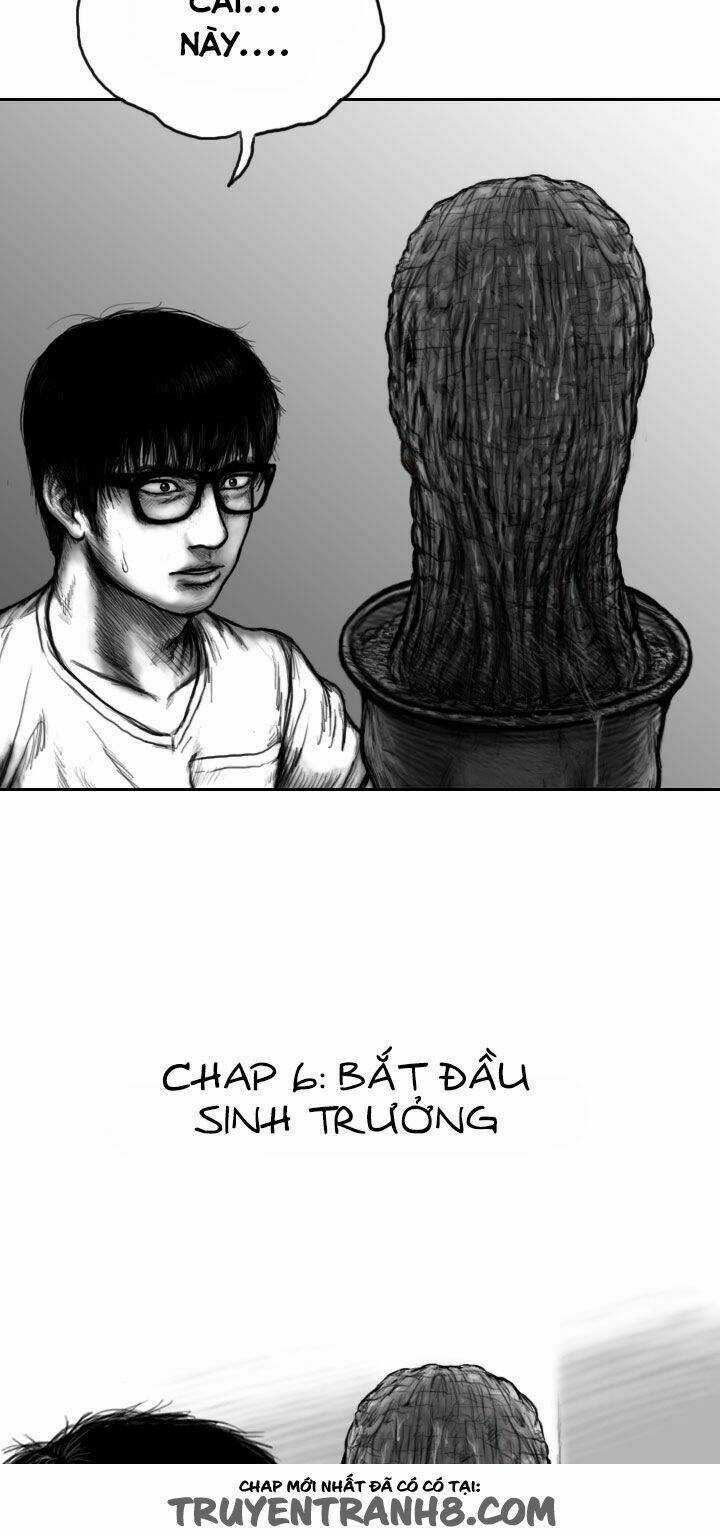 Hạt Giống Mỹ Nhân - Chapter 6 - Trang 3