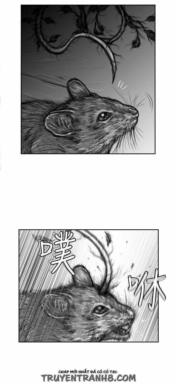 Hạt Giống Mỹ Nhân - Chapter 9 - Trang 22