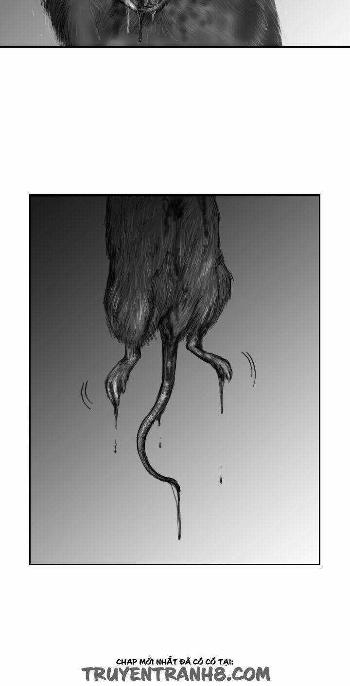 Hạt Giống Mỹ Nhân - Chapter 9 - Trang 24