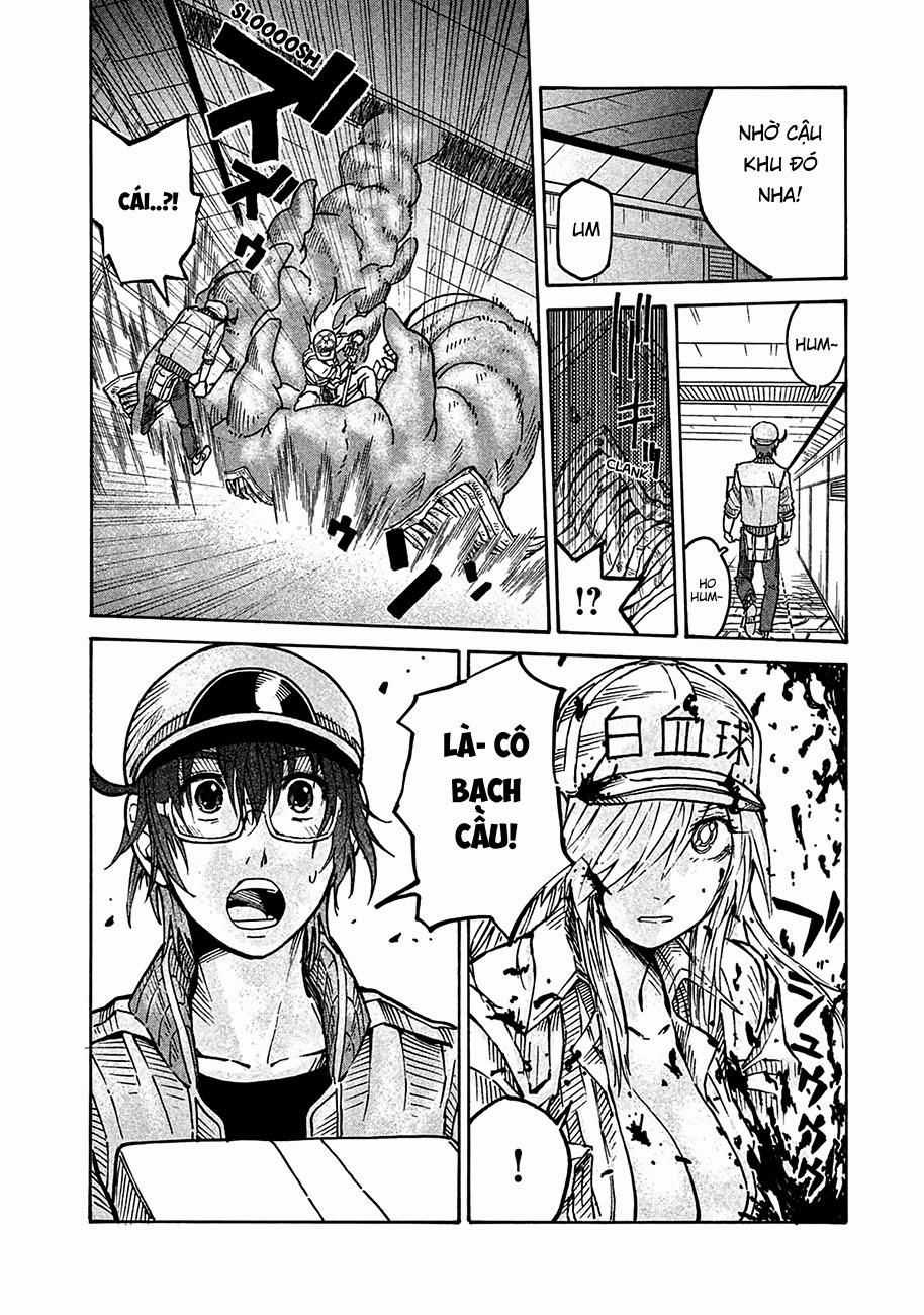 Hataraku Saibou Black - Chapter 10 - Trang 33
