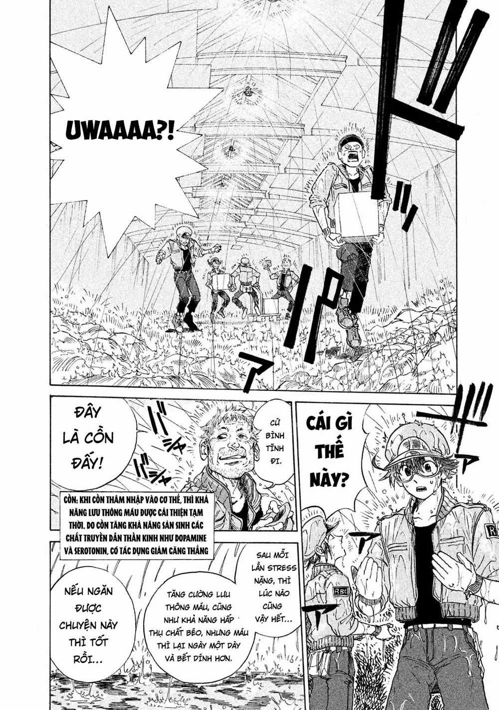 Hataraku Saibou Black - Chapter 2 - Trang 4