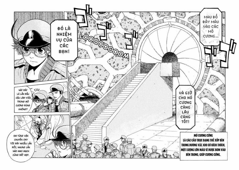 Hataraku Saibou Black - Chapter 3 - Trang 4