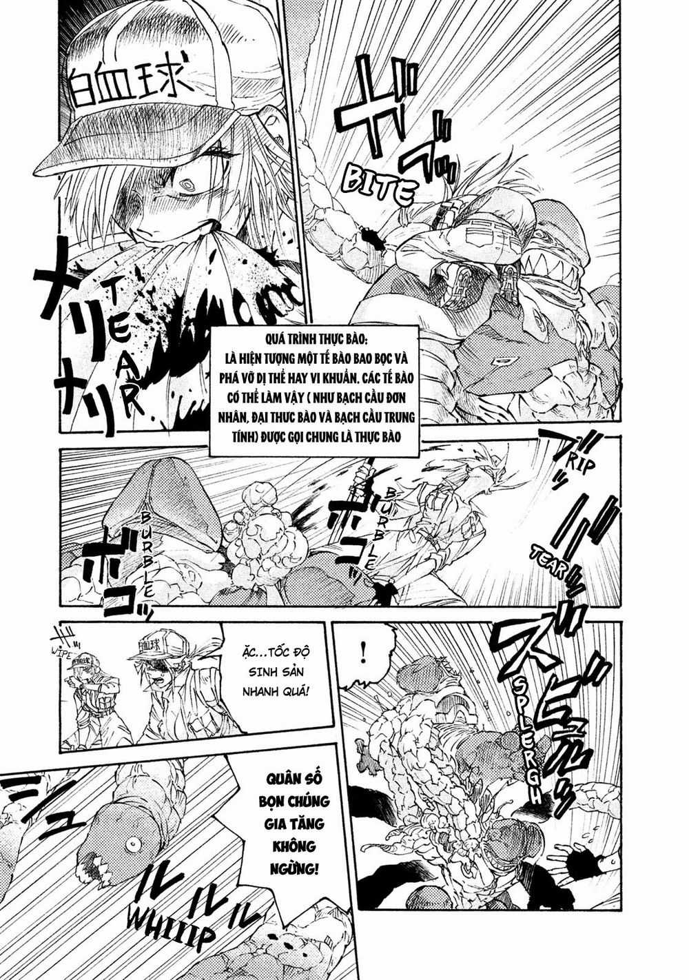 Hataraku Saibou Black - Chapter 4 - Trang 15