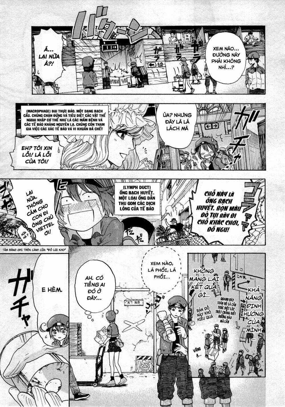 Hataraku Saibou! - Chapter 1 - Trang 17