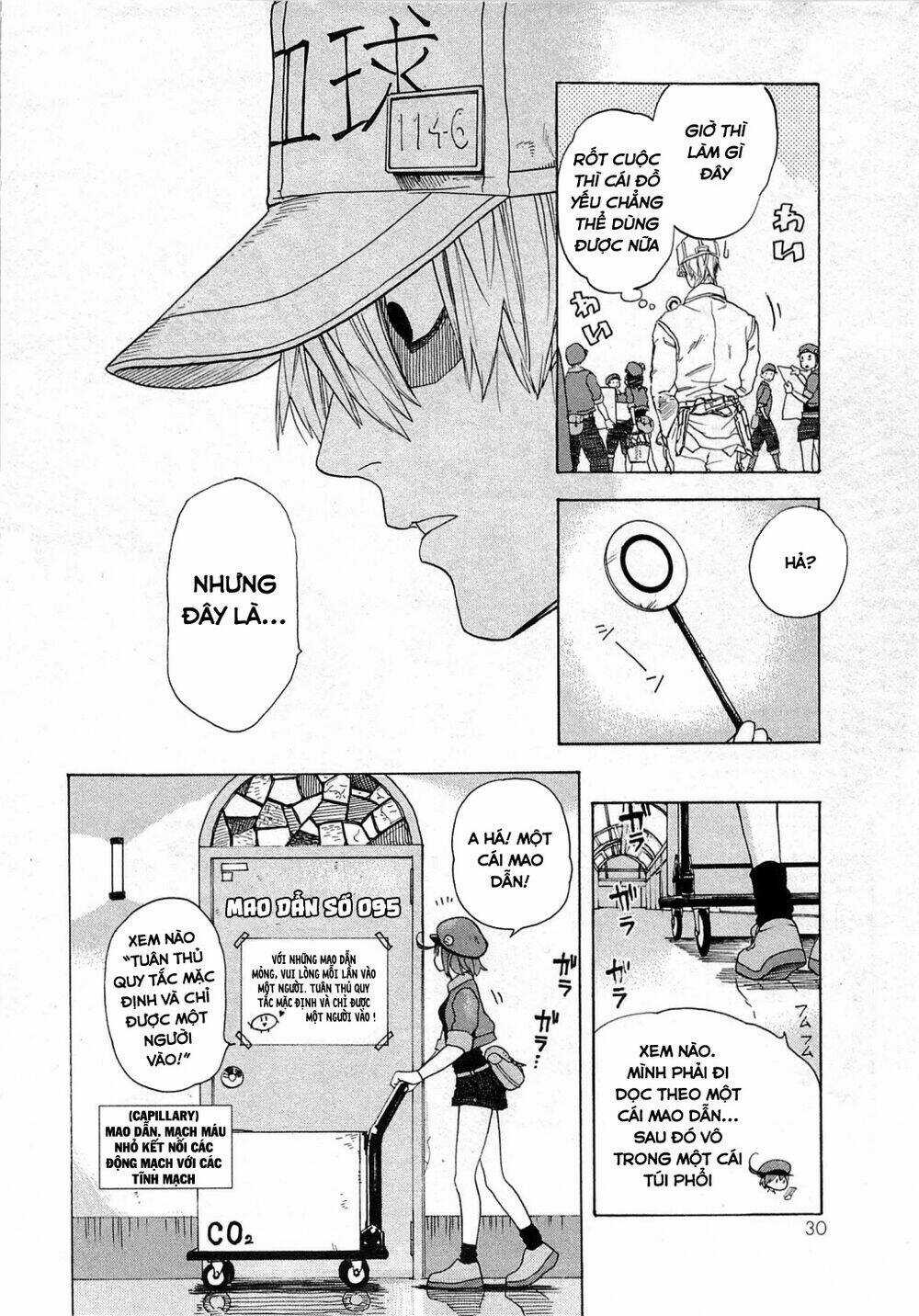 Hataraku Saibou! - Chapter 1 - Trang 34