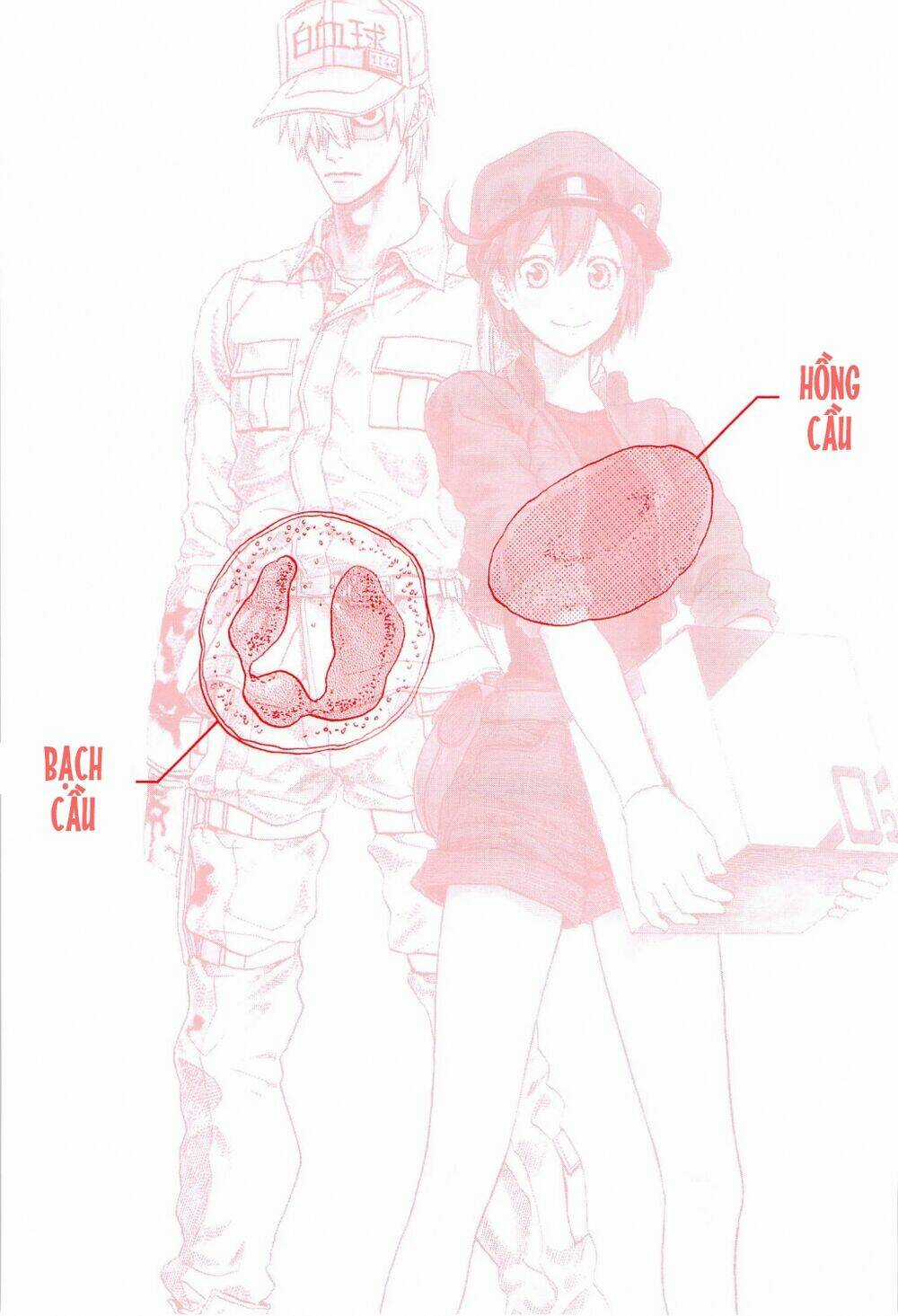 Hataraku Saibou! - Chapter 1 - Trang 5