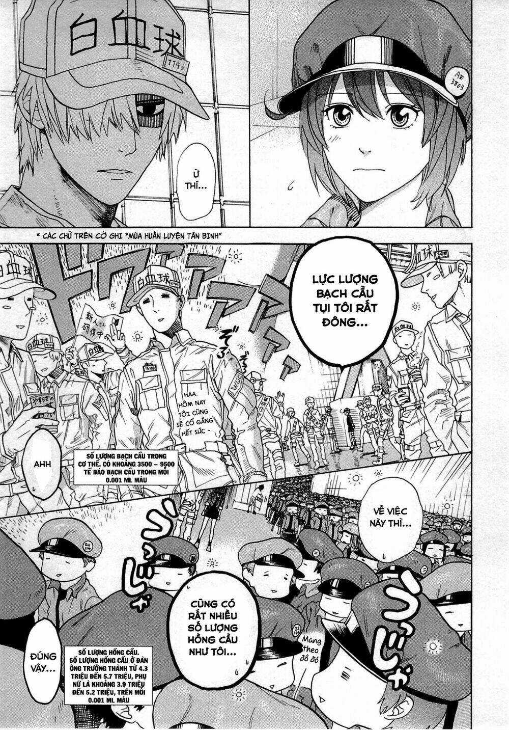 Hataraku Saibou! - Chapter 1 - Trang 61