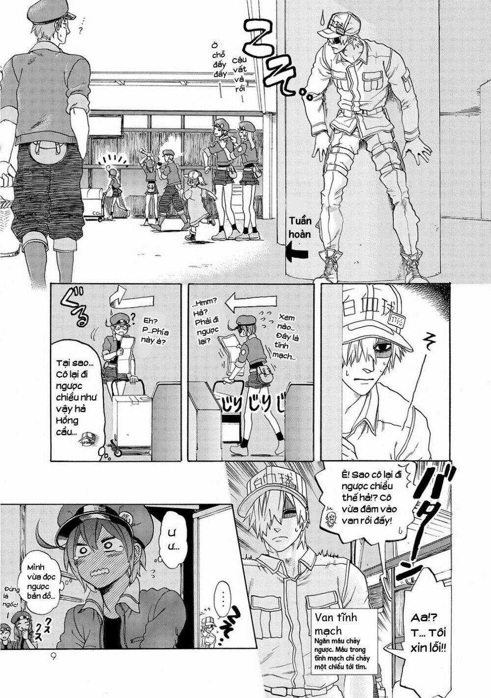 Hataraku Saibou! - Chapter 10 - Trang 11