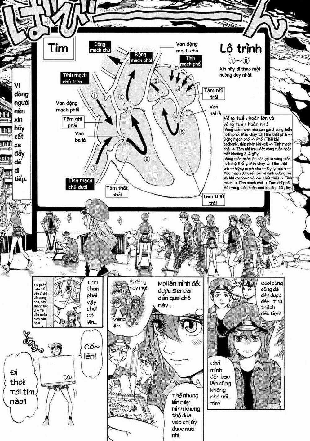 Hataraku Saibou! - Chapter 10 - Trang 13