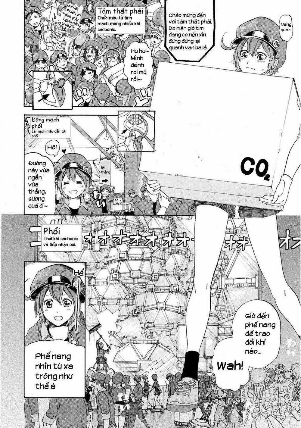 Hataraku Saibou! - Chapter 10 - Trang 15