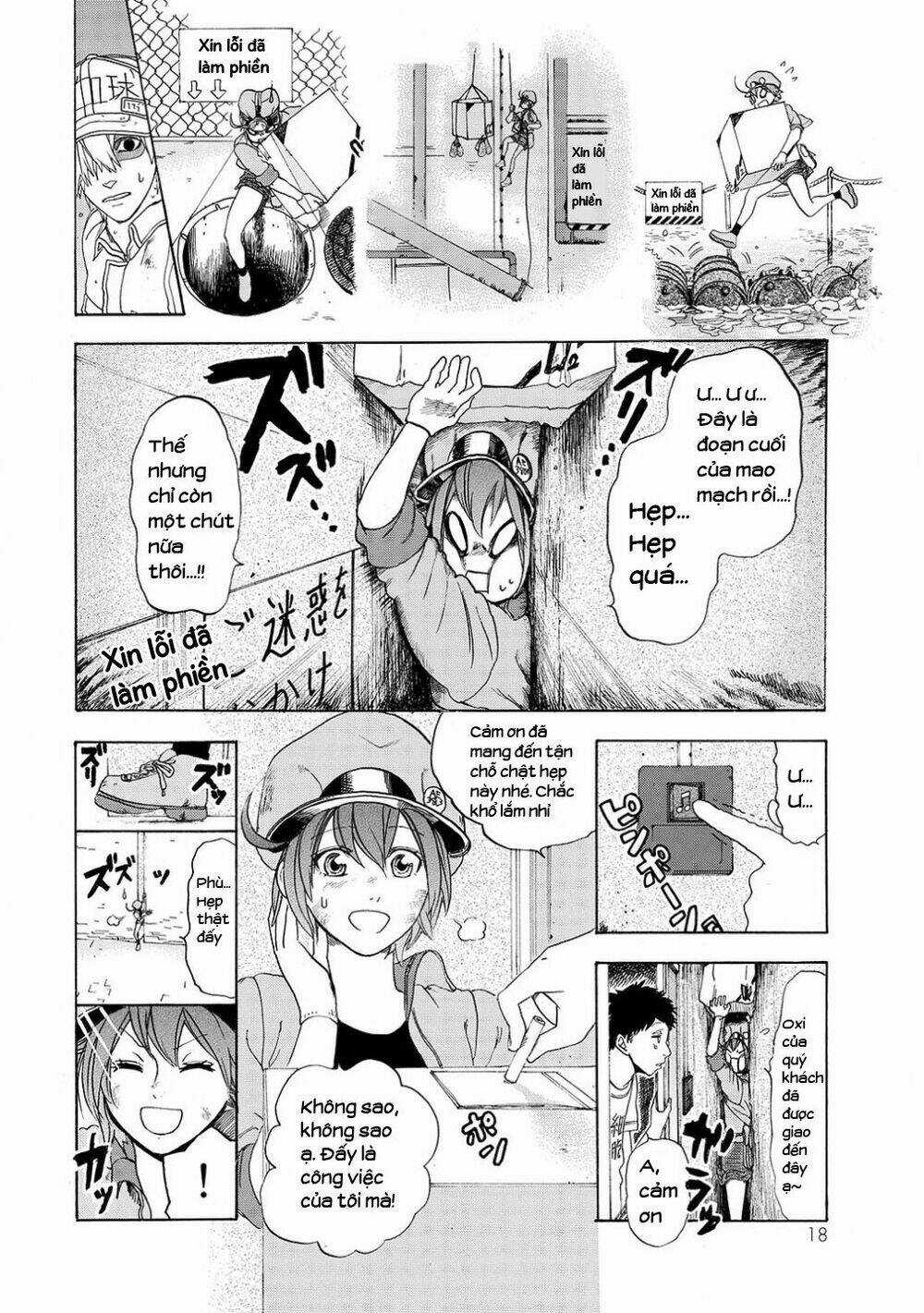 Hataraku Saibou! - Chapter 10 - Trang 19