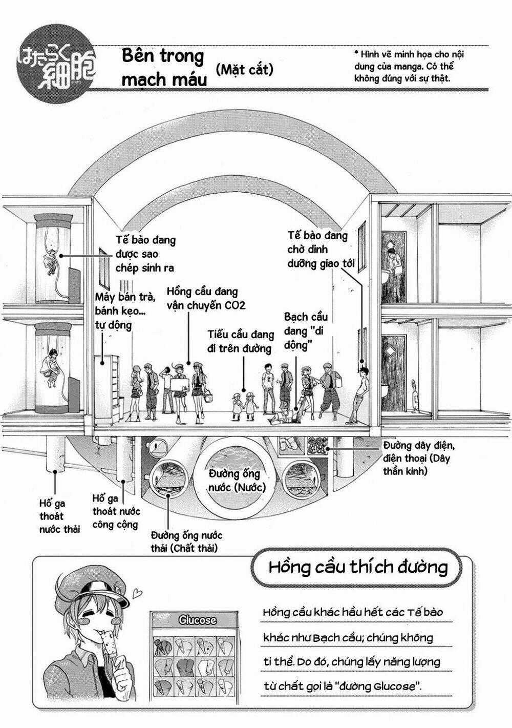 Hataraku Saibou! - Chapter 10 - Trang 26