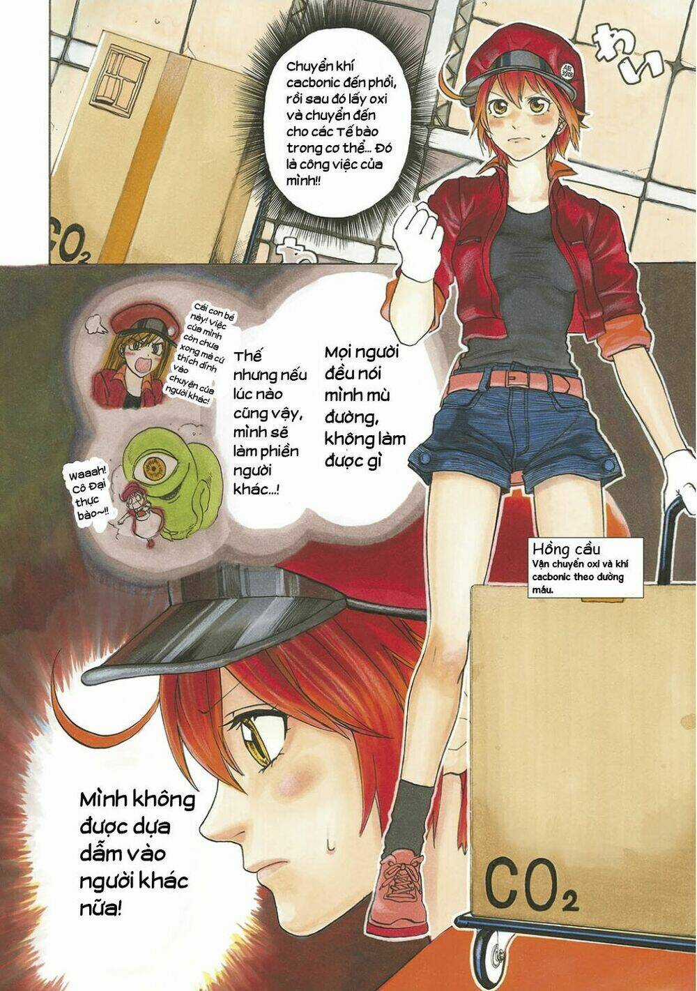 Hataraku Saibou! - Chapter 10 - Trang 4