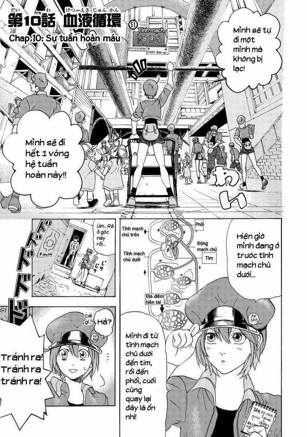 Hataraku Saibou! - Chapter 10 - Trang 5