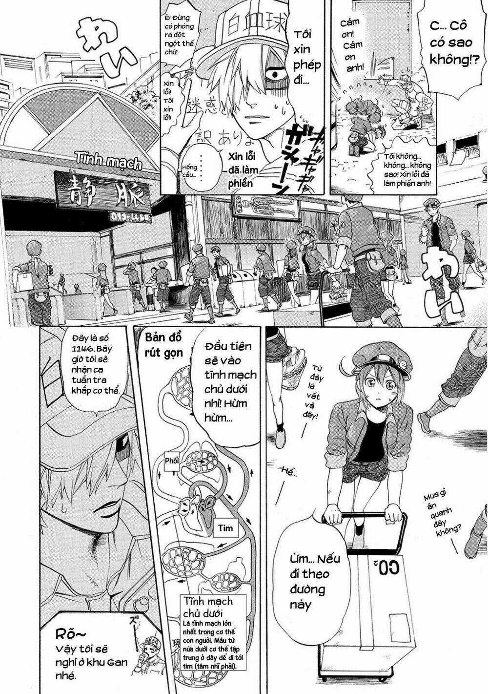 Hataraku Saibou! - Chapter 10 - Trang 10