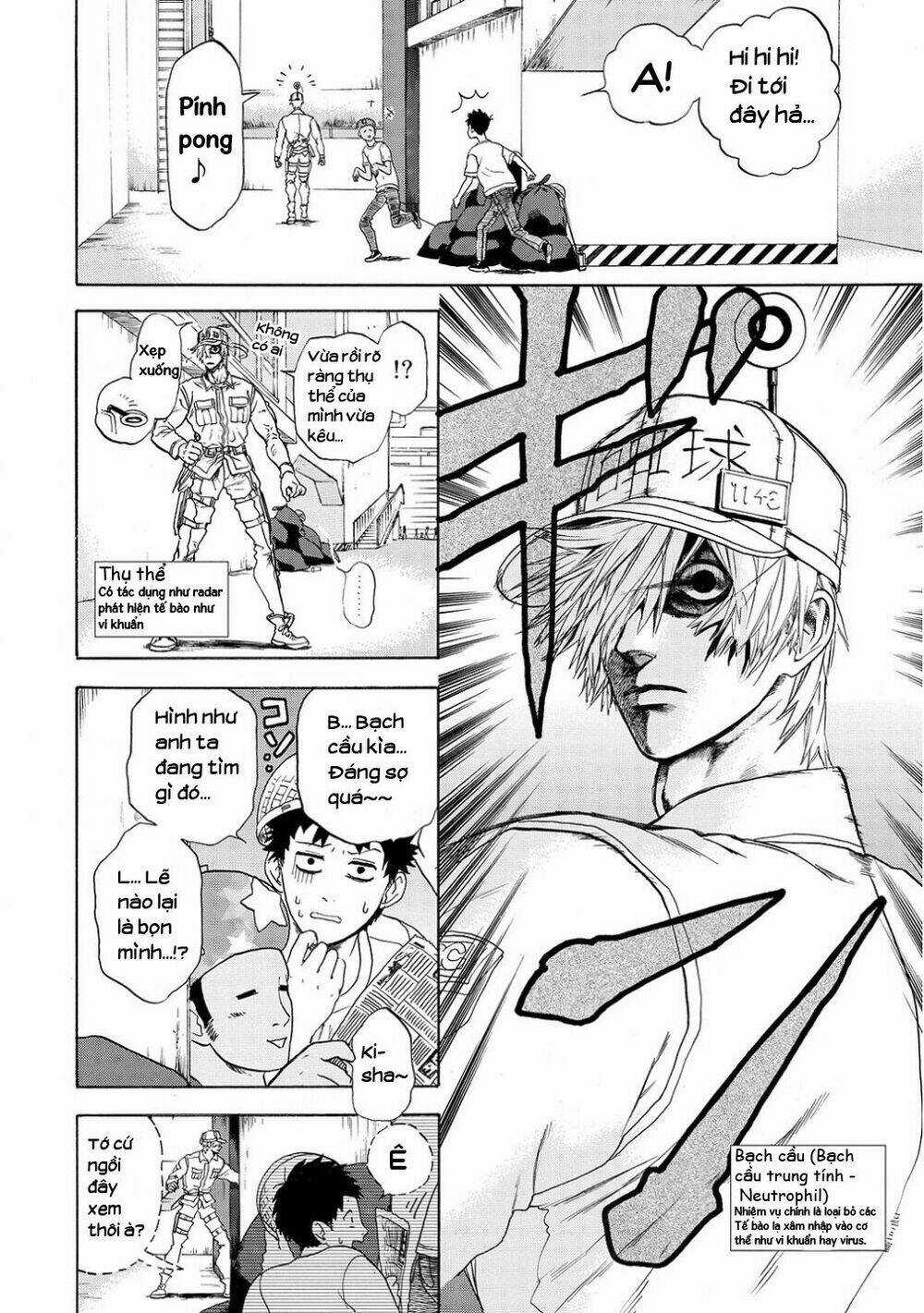 Hataraku Saibou! - Chapter 11 - Trang 11