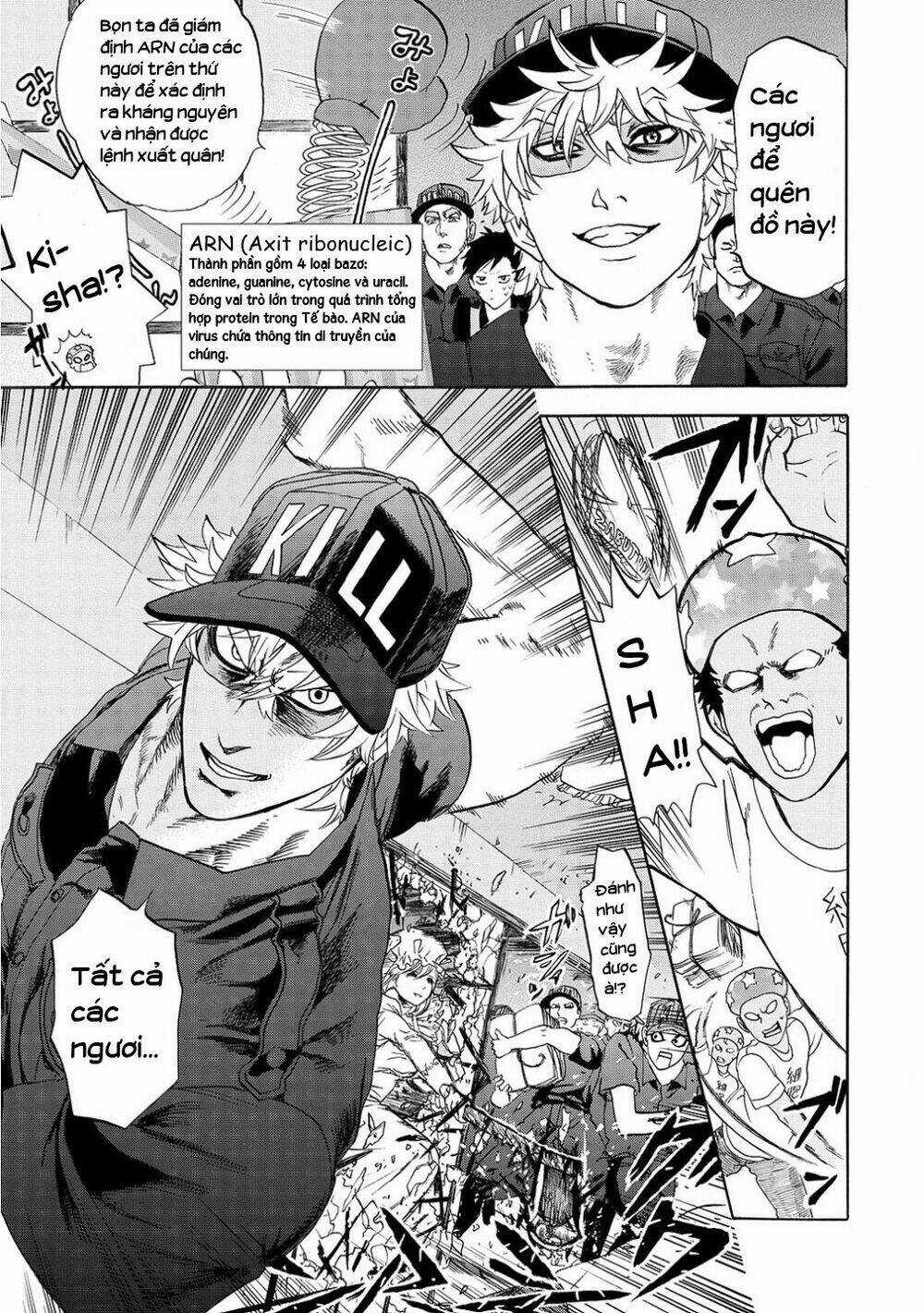 Hataraku Saibou! - Chapter 11 - Trang 23