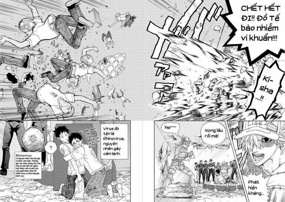 Hataraku Saibou! - Chapter 11 - Trang 24