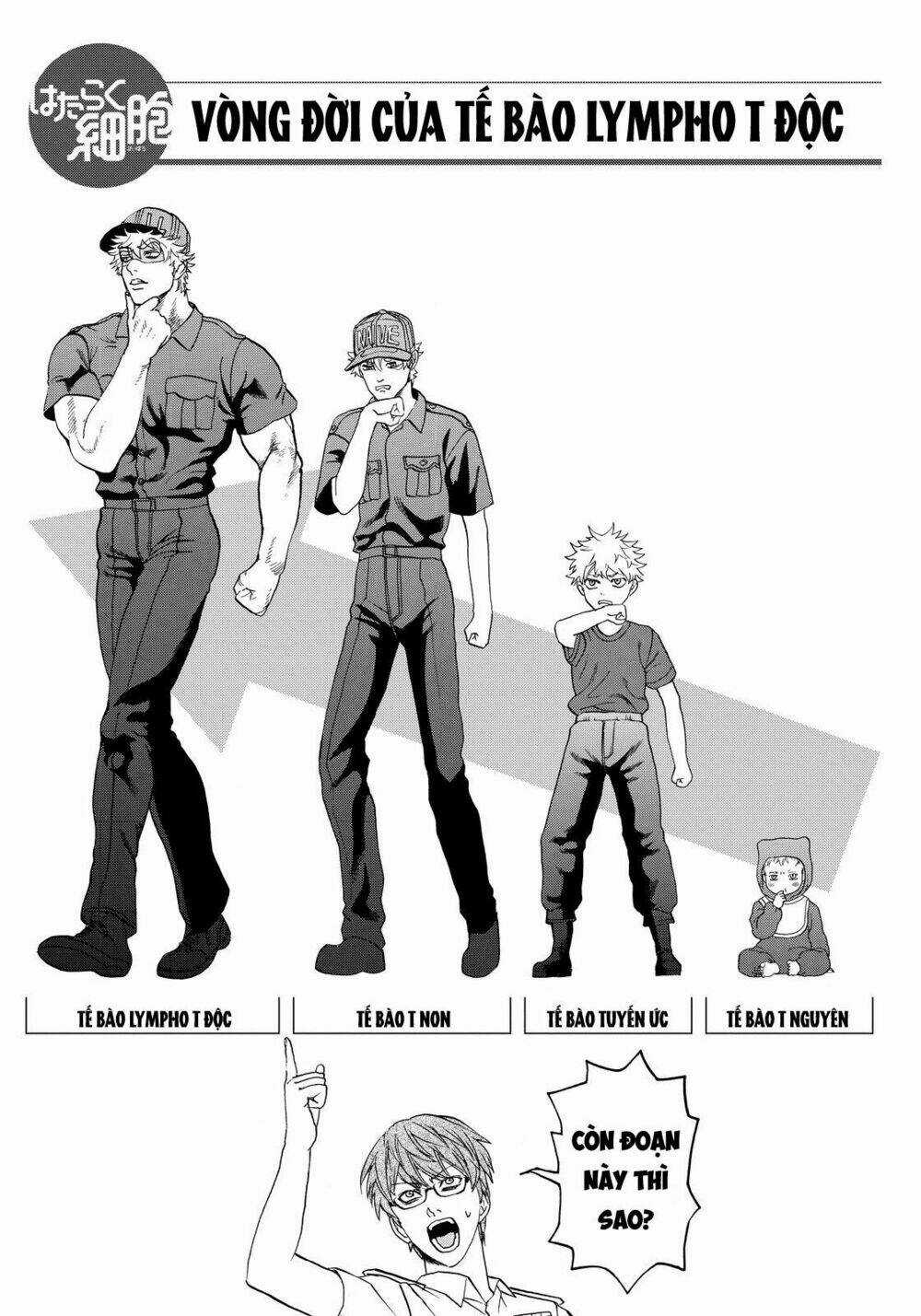 Hataraku Saibou! - Chapter 12 - Trang 35