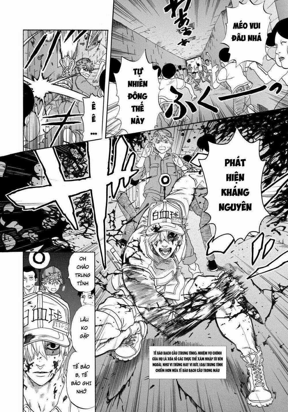 Hataraku Saibou! - Chapter 13 - Trang 8