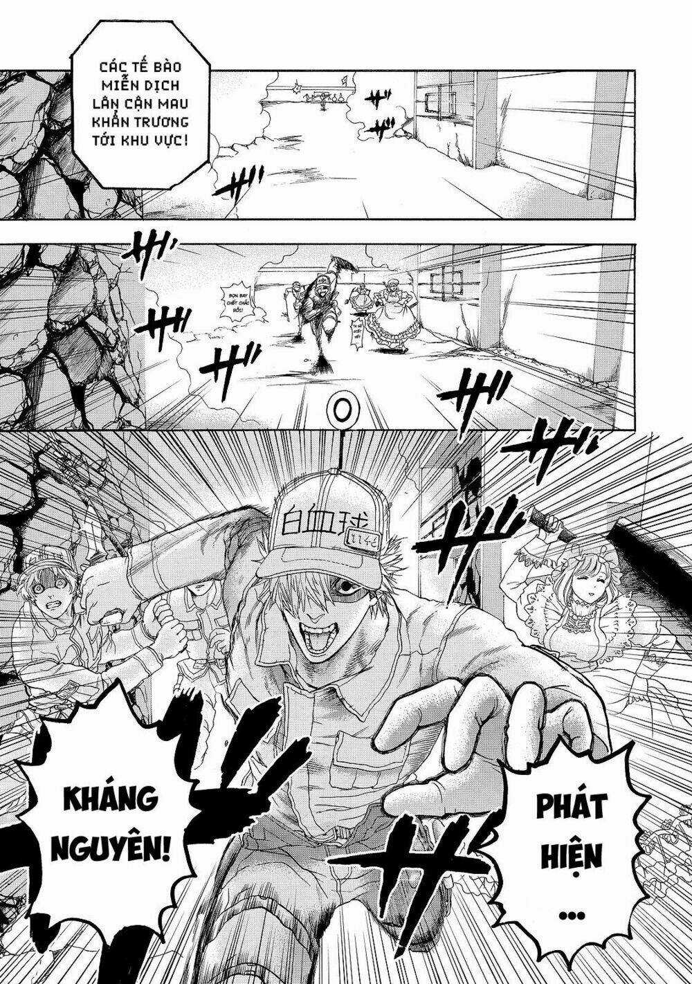 Hataraku Saibou! - Chapter 16 - Trang 25